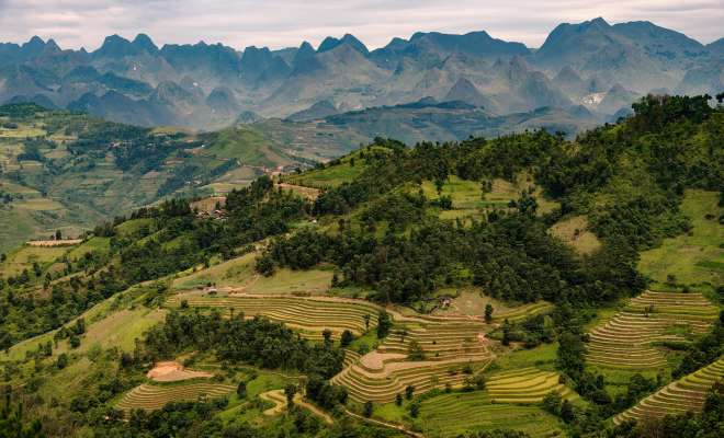 Rice terraces tumble down the slopes of vast valleys in Ha Giang, with karst limestone peaks in the background