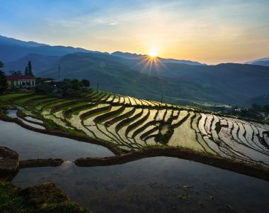 Rice terraces near Sapa reflect sunset light