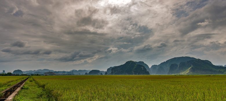Ninh Binh rice paddy fields & karst mountains